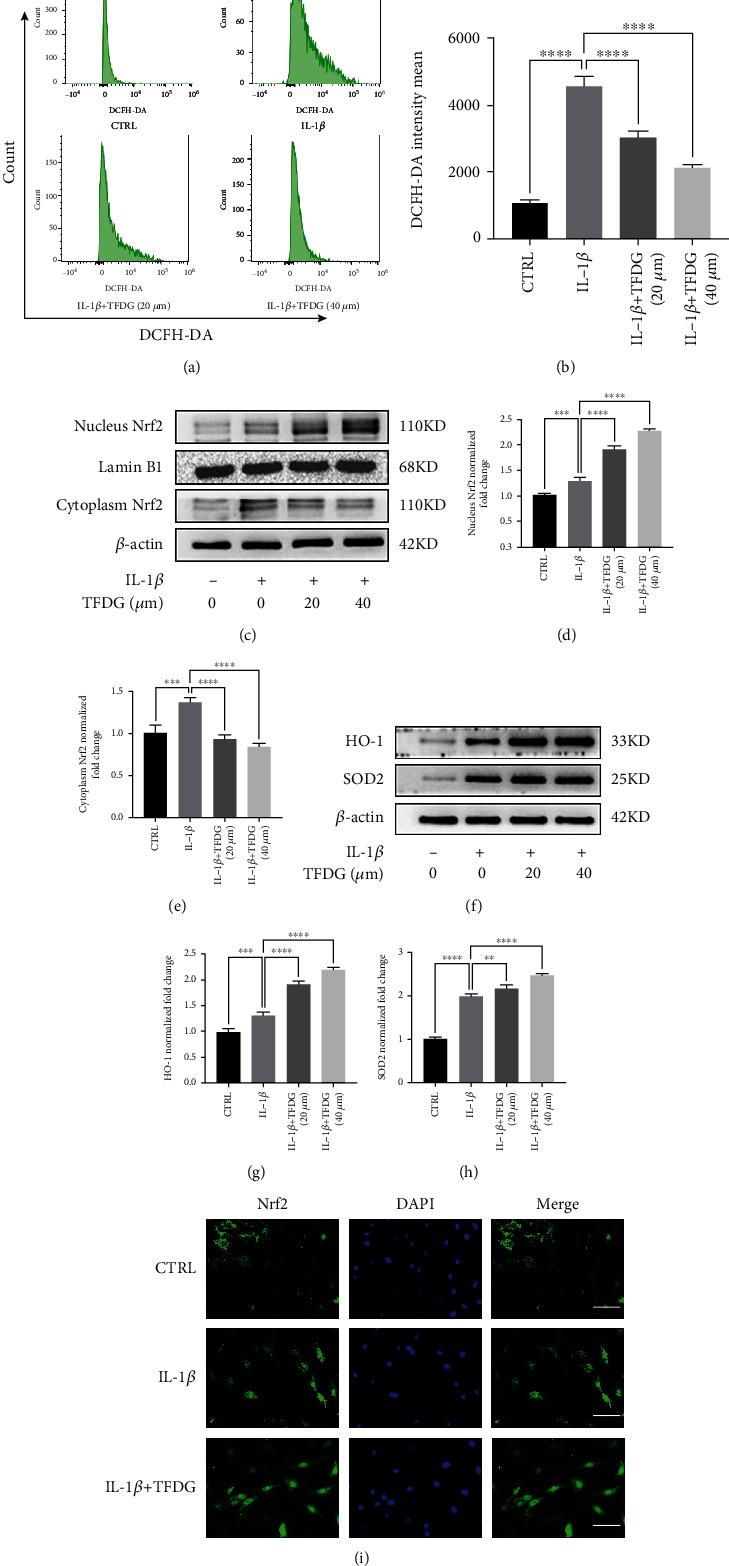 https://cdn.ncbi.nlm.nih.gov/pmc/blobs/f57e/9286955/05879fdfcc43/OMCL2022-3047425.004.jpg