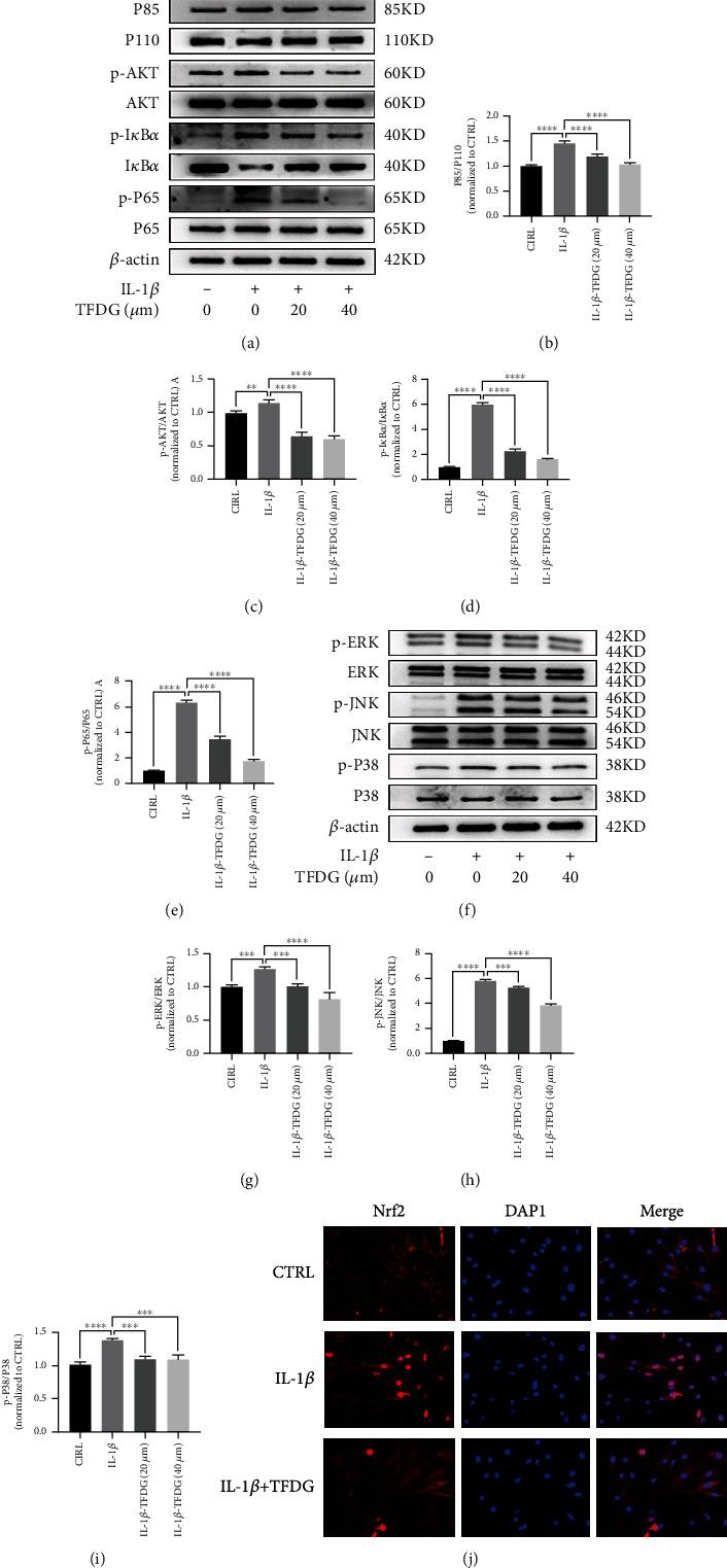 https://cdn.ncbi.nlm.nih.gov/pmc/blobs/f57e/9286955/629e827b26b0/OMCL2022-3047425.006.jpg