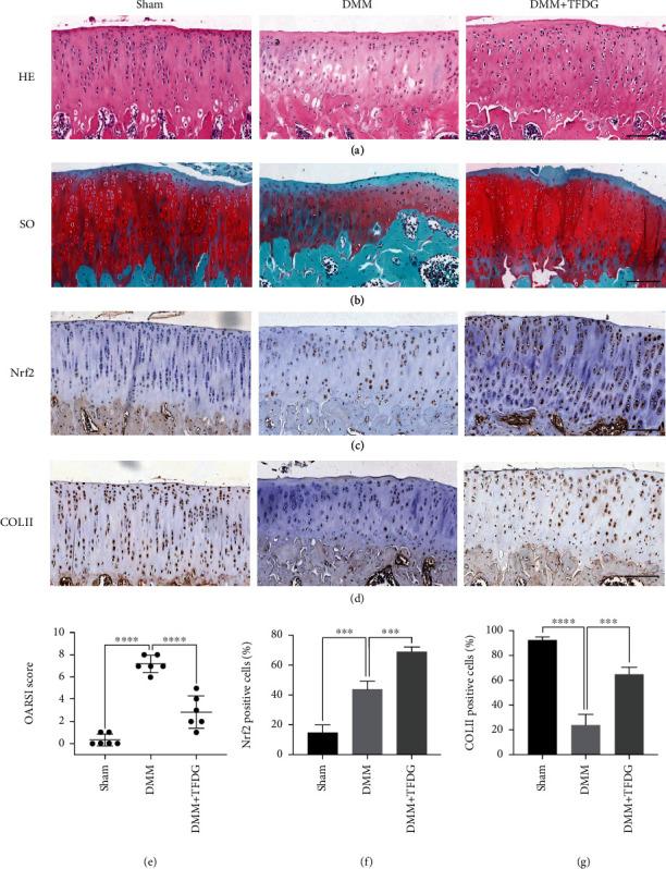 https://cdn.ncbi.nlm.nih.gov/pmc/blobs/f57e/9286955/77dc068115f1/OMCL2022-3047425.007.jpg