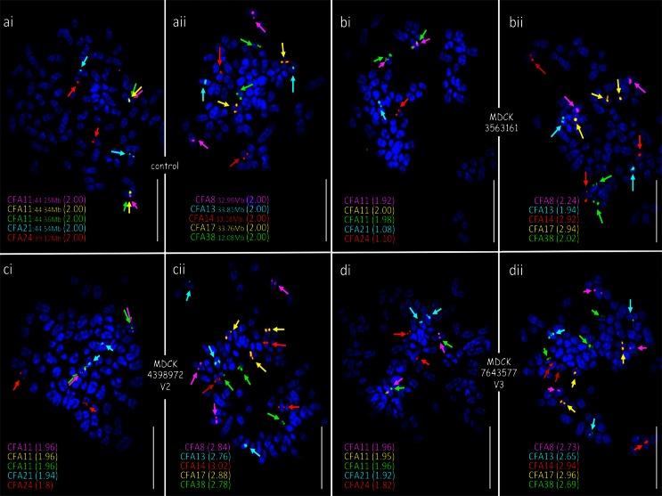 https://cdn.ncbi.nlm.nih.gov/pmc/blobs/f581/4666904/6d14e0f0c920/10577_2015_9474_Fig7_HTML.jpg
