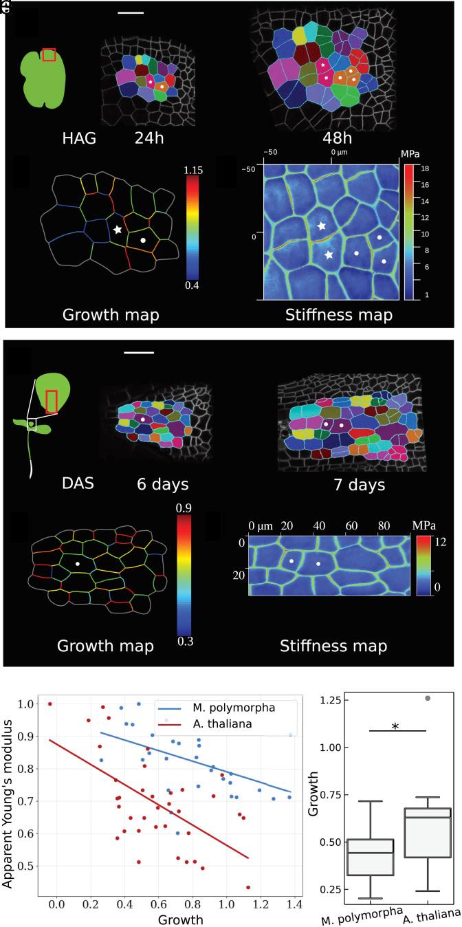 https://cdn.ncbi.nlm.nih.gov/pmc/blobs/f584/10576037/ad26468575e4/pnas.2302985120fig03.jpg