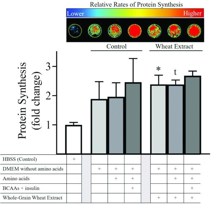 https://cdn.ncbi.nlm.nih.gov/pmc/blobs/f584/8598768/326a82f2f191/nzab121fig2.jpg