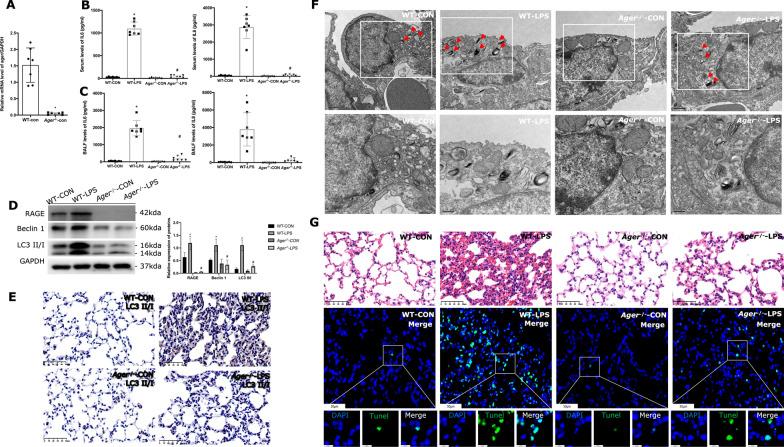 https://cdn.ncbi.nlm.nih.gov/pmc/blobs/f584/9872382/16e7bb39e2e9/12931_2023_2332_Fig4_HTML.jpg