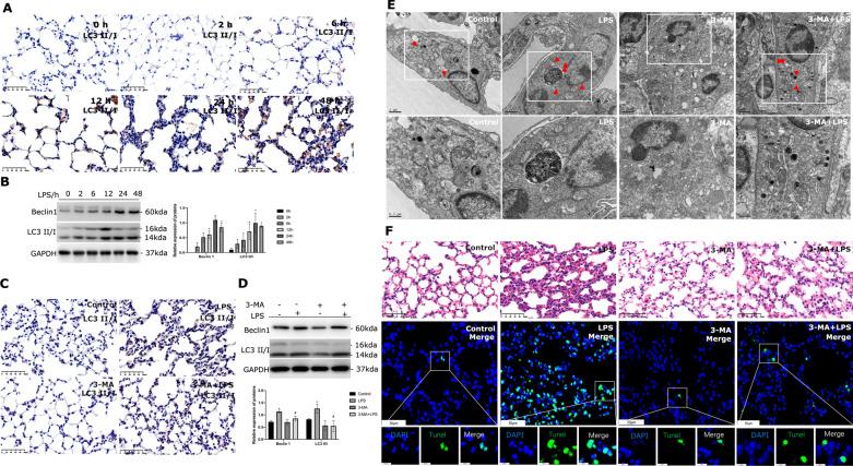 https://cdn.ncbi.nlm.nih.gov/pmc/blobs/f584/9872382/7c212666309c/12931_2023_2332_Fig3_HTML.jpg