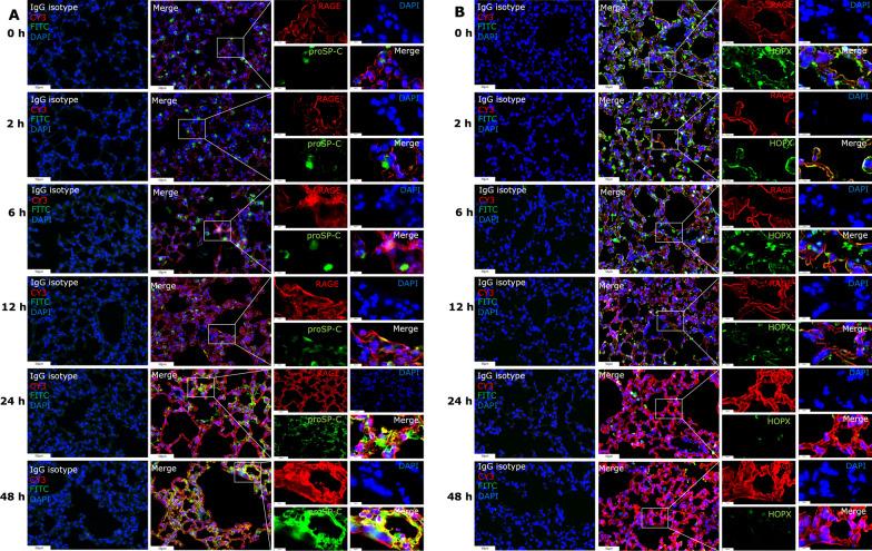 https://cdn.ncbi.nlm.nih.gov/pmc/blobs/f584/9872382/b5a9d7d33d87/12931_2023_2332_Fig2_HTML.jpg