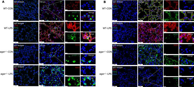 https://cdn.ncbi.nlm.nih.gov/pmc/blobs/f584/9872382/e6699473e094/12931_2023_2332_Fig5_HTML.jpg