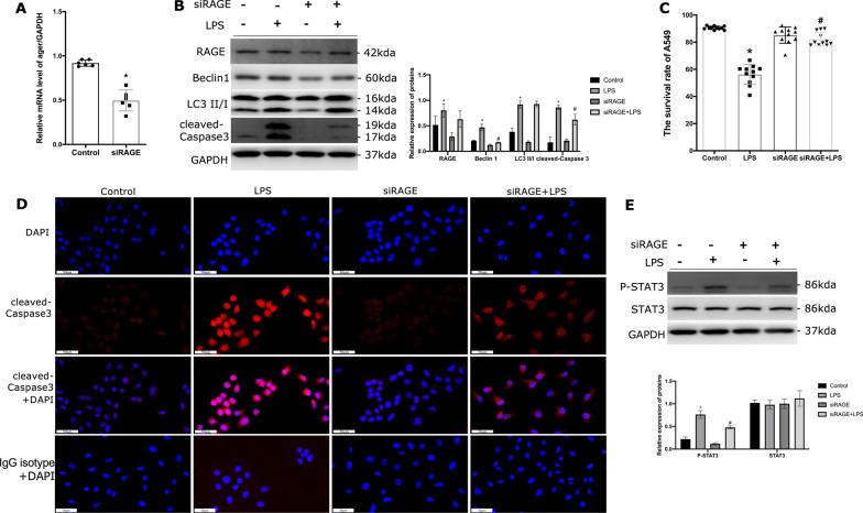 https://cdn.ncbi.nlm.nih.gov/pmc/blobs/f584/9872382/faf978b4356f/12931_2023_2332_Fig7_HTML.jpg