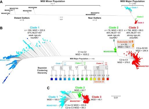 https://cdn.ncbi.nlm.nih.gov/pmc/blobs/f585/4895104/366499d4254a/mbo0031628370002.jpg