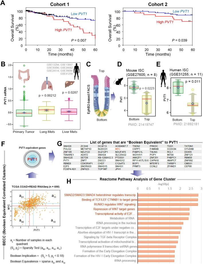 https://cdn.ncbi.nlm.nih.gov/pmc/blobs/f585/7643275/803600592cff/12943_2020_1277_Fig2_HTML.jpg