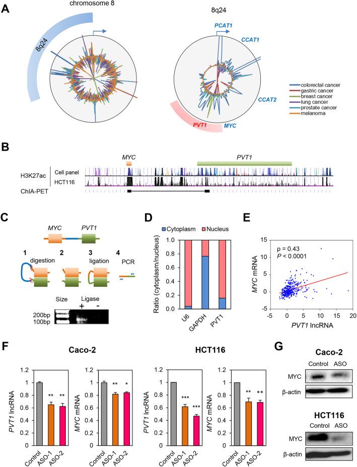 https://cdn.ncbi.nlm.nih.gov/pmc/blobs/f585/7643275/98b6e8c1562c/12943_2020_1277_Fig1_HTML.jpg