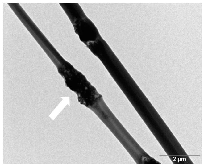 https://cdn.ncbi.nlm.nih.gov/pmc/blobs/f587/6432366/e8358ac97ac2/polymers-08-00287-g005.jpg