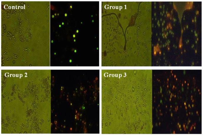 https://cdn.ncbi.nlm.nih.gov/pmc/blobs/f588/10052786/285ac3dbbeae/toxics-11-00282-g006.jpg