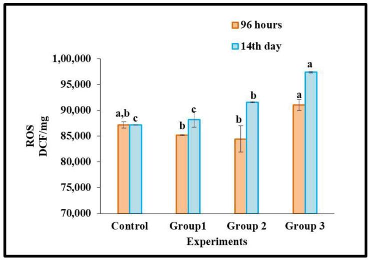 https://cdn.ncbi.nlm.nih.gov/pmc/blobs/f588/10052786/f00a646c6770/toxics-11-00282-g002.jpg