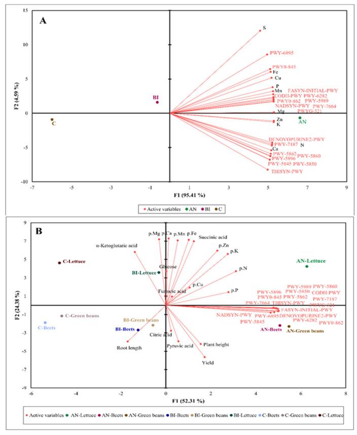 https://cdn.ncbi.nlm.nih.gov/pmc/blobs/f588/9695376/ac84a6def74a/plants-11-03153-g005.jpg