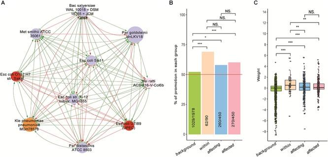 https://cdn.ncbi.nlm.nih.gov/pmc/blobs/f58c/6558107/0de1eab3bc1e/fmicb-10-01205-g004.jpg