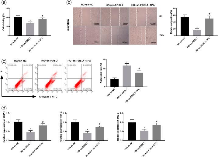 https://cdn.ncbi.nlm.nih.gov/pmc/blobs/f58c/8669130/6f2fe40a592a/10.1177_14791641211058855-fig5.jpg