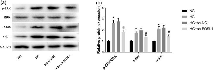 https://cdn.ncbi.nlm.nih.gov/pmc/blobs/f58c/8669130/783534433de5/10.1177_14791641211058855-fig3.jpg