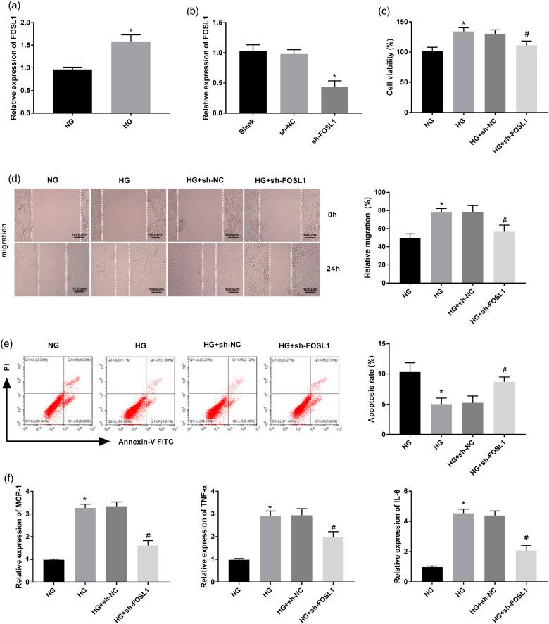 https://cdn.ncbi.nlm.nih.gov/pmc/blobs/f58c/8669130/bdac85351735/10.1177_14791641211058855-fig2.jpg