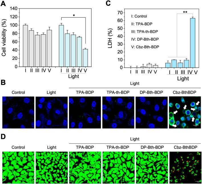 https://cdn.ncbi.nlm.nih.gov/pmc/blobs/f58d/12376829/43a7aceb7ac0/d5sc03466c-f5.jpg