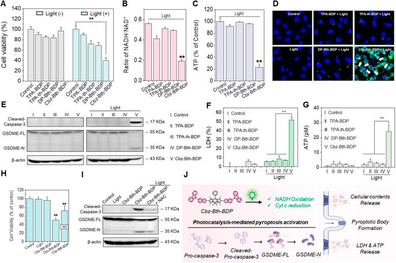 https://cdn.ncbi.nlm.nih.gov/pmc/blobs/f58d/12376829/740404686da0/d5sc03466c-f4.jpg