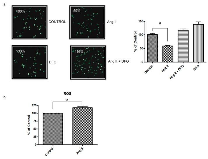 https://cdn.ncbi.nlm.nih.gov/pmc/blobs/f58d/7146217/6b420fde9249/nutrients-12-00668-g002.jpg