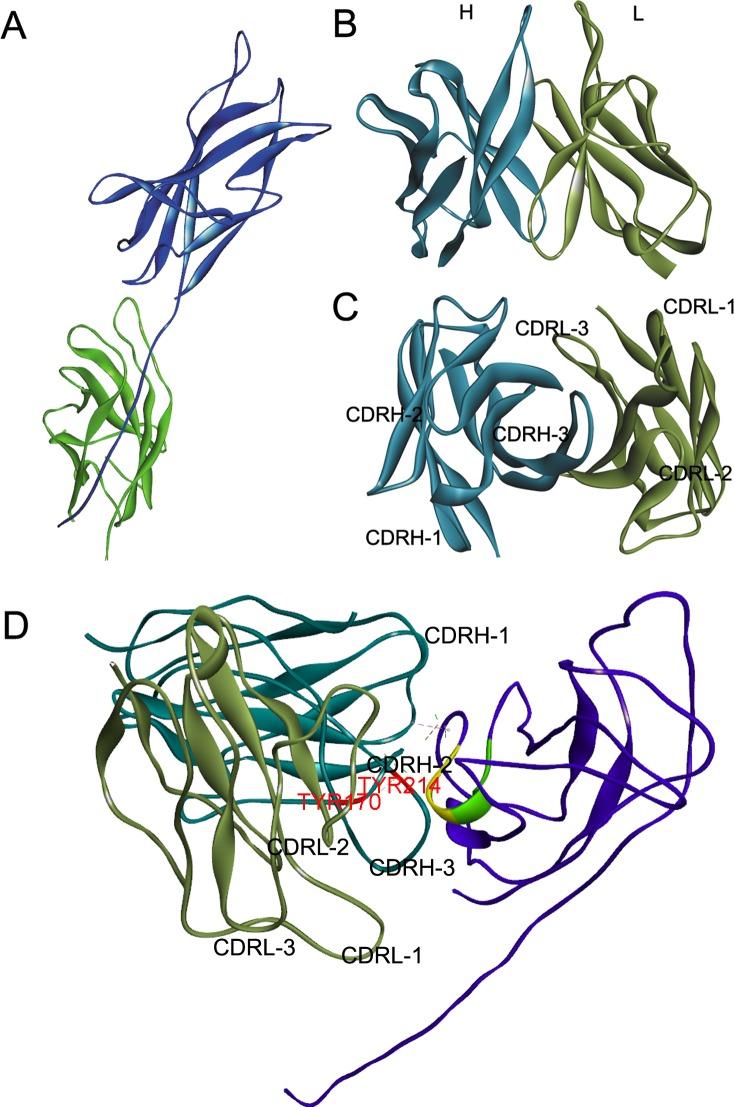 https://cdn.ncbi.nlm.nih.gov/pmc/blobs/f58f/5423616/8f6134252290/pone.0177012.g002.jpg