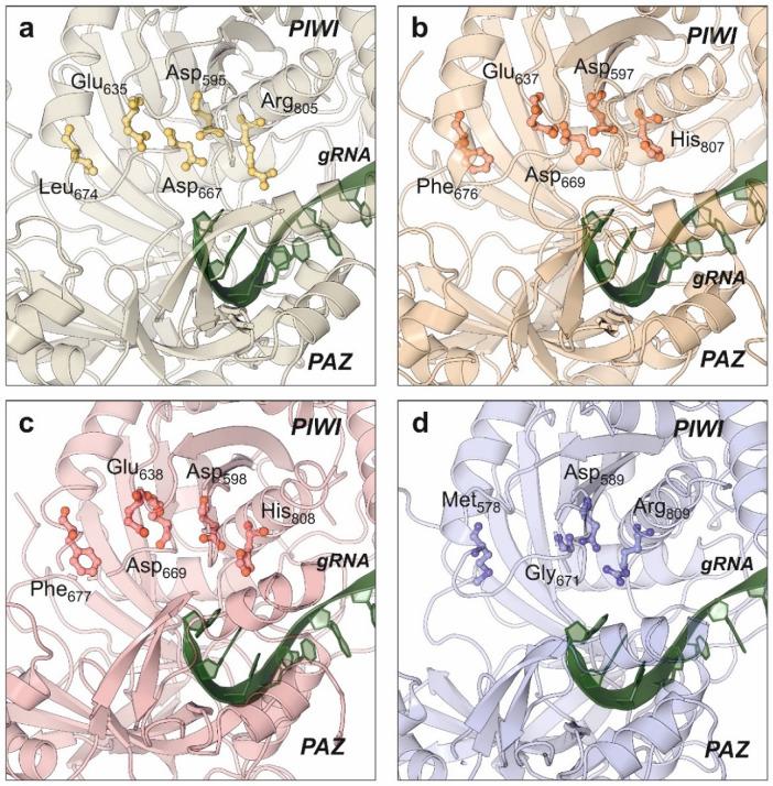 https://cdn.ncbi.nlm.nih.gov/pmc/blobs/f58f/8874510/f470125a27c9/ncrna-08-00010-g005.jpg