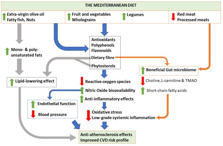 https://cdn.ncbi.nlm.nih.gov/pmc/blobs/f593/10893368/cd9660dd08cc/nutrients-16-00570-g001.jpg
