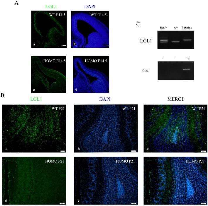 https://cdn.ncbi.nlm.nih.gov/pmc/blobs/f593/5014313/3c273965b362/pone.0162126.g001.jpg