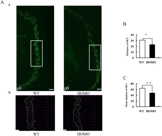 https://cdn.ncbi.nlm.nih.gov/pmc/blobs/f593/5014313/466cae208aad/pone.0162126.g005.jpg