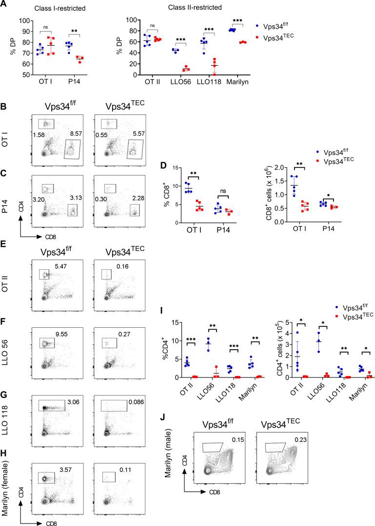 https://cdn.ncbi.nlm.nih.gov/pmc/blobs/f596/9402993/80ca1c9ebc46/JEM_20212554_FigS3.jpg