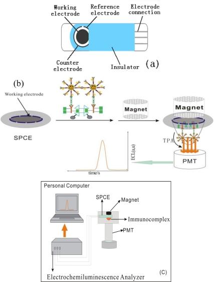 https://cdn.ncbi.nlm.nih.gov/pmc/blobs/f597/3231728/87737e0dc4f6/sensors-11-07749f10.jpg