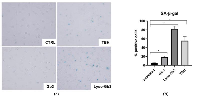 https://cdn.ncbi.nlm.nih.gov/pmc/blobs/f597/7915347/da4014c1a1cf/cells-10-00356-g008.jpg