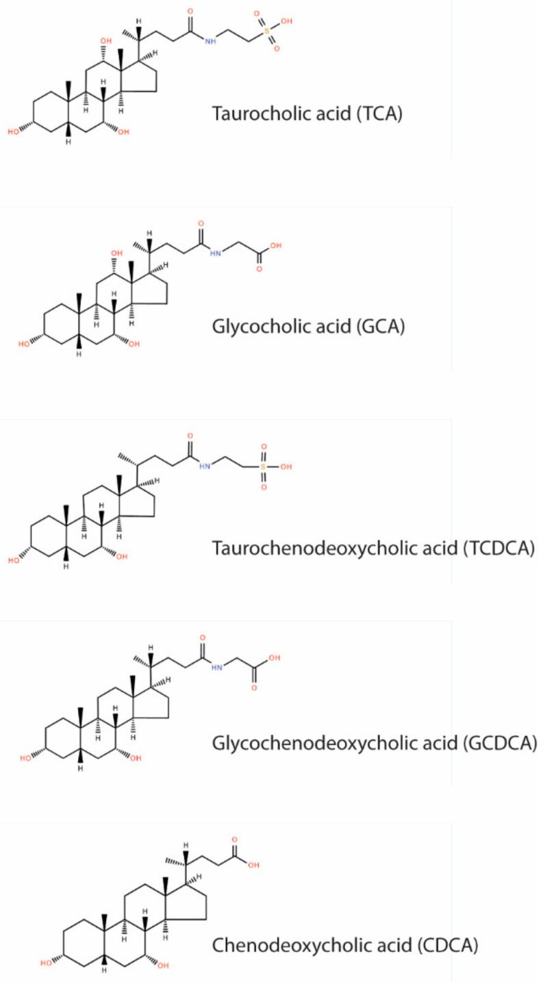 https://cdn.ncbi.nlm.nih.gov/pmc/blobs/f597/9416035/0473870f29f1/metabolites-12-00723-g001.jpg