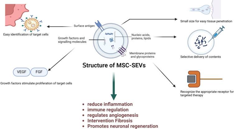 https://cdn.ncbi.nlm.nih.gov/pmc/blobs/f599/12229161/95daf9fce0ea/IJN-20-8547-g0002.jpg