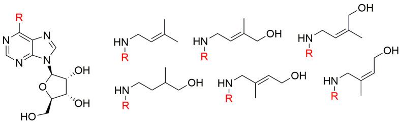 https://cdn.ncbi.nlm.nih.gov/pmc/blobs/f599/7356397/02c3fa4eb7dd/biomolecules-10-00832-g003.jpg