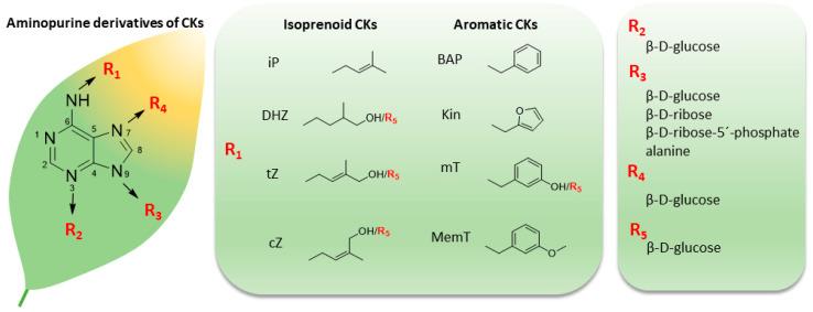 https://cdn.ncbi.nlm.nih.gov/pmc/blobs/f599/7356397/3886024f79fe/biomolecules-10-00832-g001.jpg