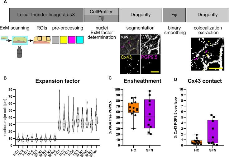 https://cdn.ncbi.nlm.nih.gov/pmc/blobs/f59c/10791129/e7b64a9d9dc6/elife-77761-fig5.jpg