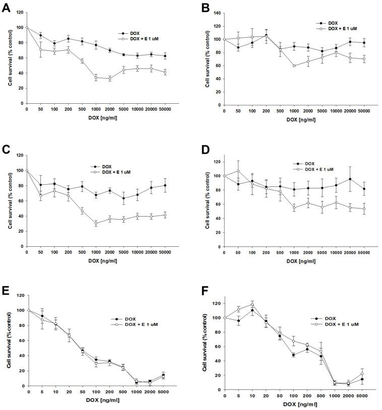 https://cdn.ncbi.nlm.nih.gov/pmc/blobs/f59c/11817197/19ff583c3735/ijms-26-01124-g012.jpg