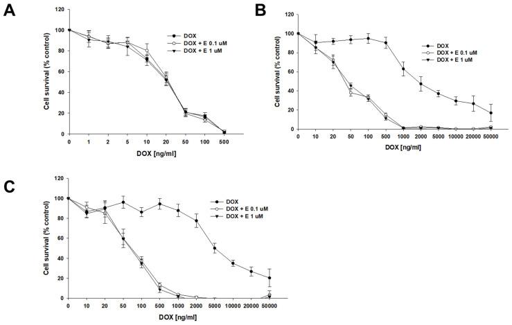 https://cdn.ncbi.nlm.nih.gov/pmc/blobs/f59c/11817197/da6f67e6e468/ijms-26-01124-g004.jpg