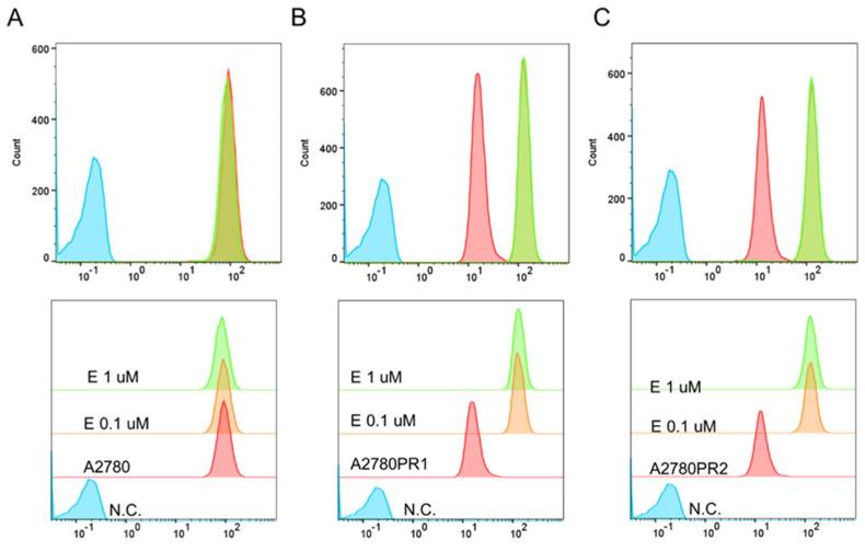 https://cdn.ncbi.nlm.nih.gov/pmc/blobs/f59c/11817197/f0abe590bab9/ijms-26-01124-g006.jpg