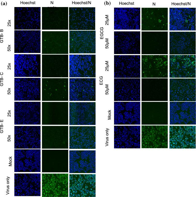 https://cdn.ncbi.nlm.nih.gov/pmc/blobs/f59d/9126694/787161d069ac/705_2022_5483_Fig2_HTML.jpg