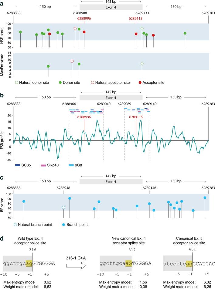 https://cdn.ncbi.nlm.nih.gov/pmc/blobs/f59e/11663190/4ab57ad7f4b6/125_2024_6307_Fig2_HTML.jpg
