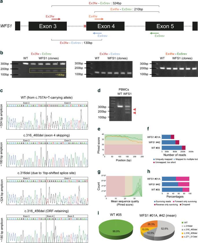 https://cdn.ncbi.nlm.nih.gov/pmc/blobs/f59e/11663190/92e7c3519e24/125_2024_6307_Fig3_HTML.jpg