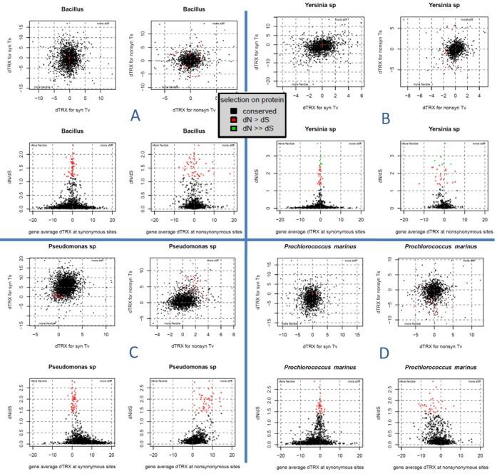 https://cdn.ncbi.nlm.nih.gov/pmc/blobs/f5a0/4176184/821e0c186936/gku811fig7.jpg
