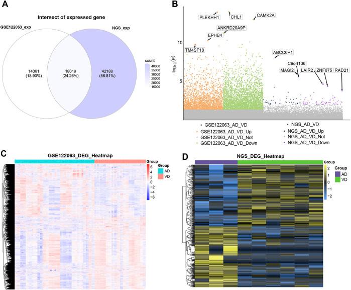 https://cdn.ncbi.nlm.nih.gov/pmc/blobs/f5a0/9730885/20ea3adcb0ea/fgene-13-1038585-g002.jpg