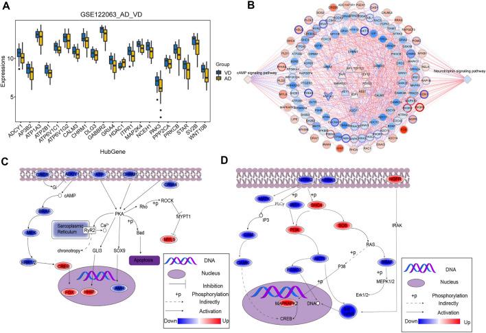 https://cdn.ncbi.nlm.nih.gov/pmc/blobs/f5a0/9730885/bde9748daca8/fgene-13-1038585-g004.jpg