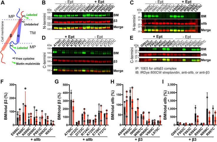 https://cdn.ncbi.nlm.nih.gov/pmc/blobs/f5a2/8569584/7154173c9e43/gr6.jpg
