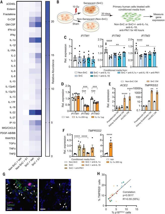https://cdn.ncbi.nlm.nih.gov/pmc/blobs/f5a3/9266560/4a66772e6be0/373_abe4832_f2.jpg