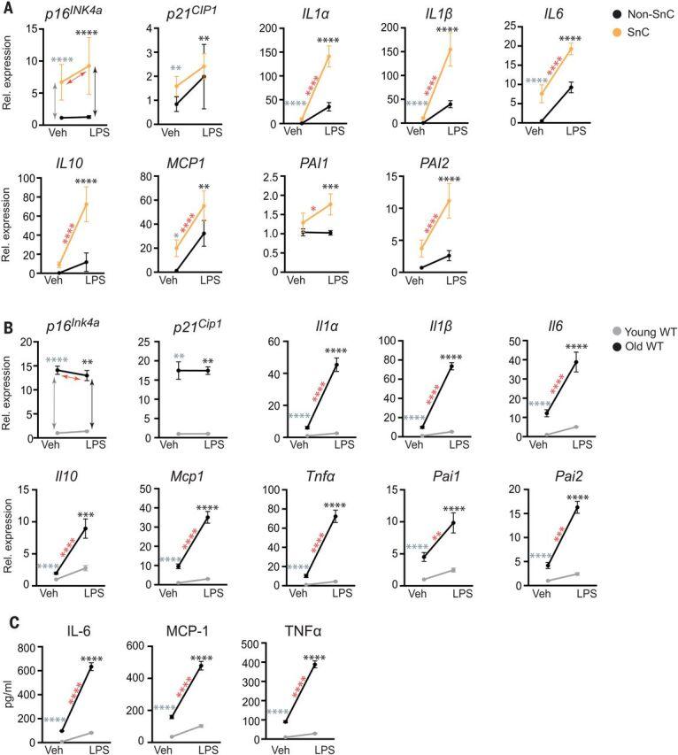 https://cdn.ncbi.nlm.nih.gov/pmc/blobs/f5a3/9266560/834b26149457/373_abe4832_f1.jpg